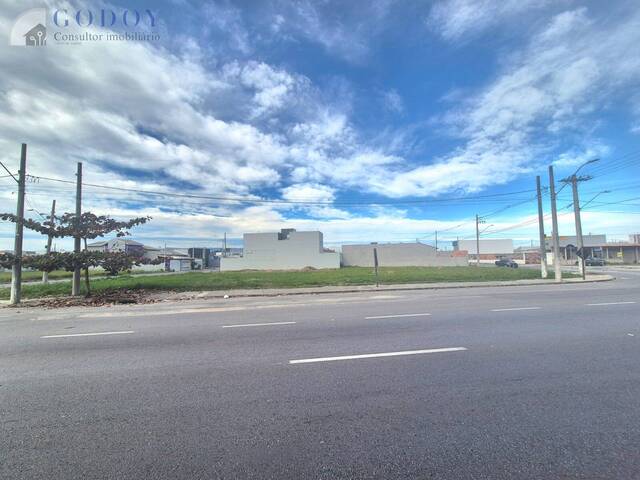 #19326 - Terreno para Venda em Pindamonhangaba - SP - 2