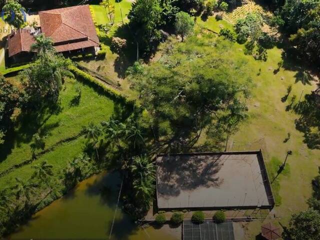 #19389 - Sítio para Venda em Cruzeiro - SP - 1