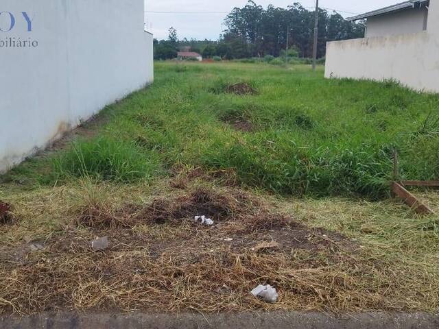 #19397 - Área para Venda em Pindamonhangaba - SP - 1