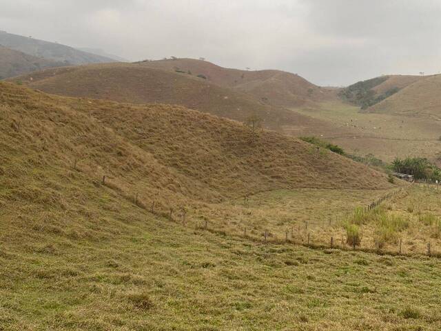 #19453 - Chácara para Venda em Guaratinguetá - SP - 1