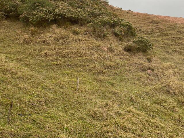 #19453 - Chácara para Venda em Guaratinguetá - SP - 3