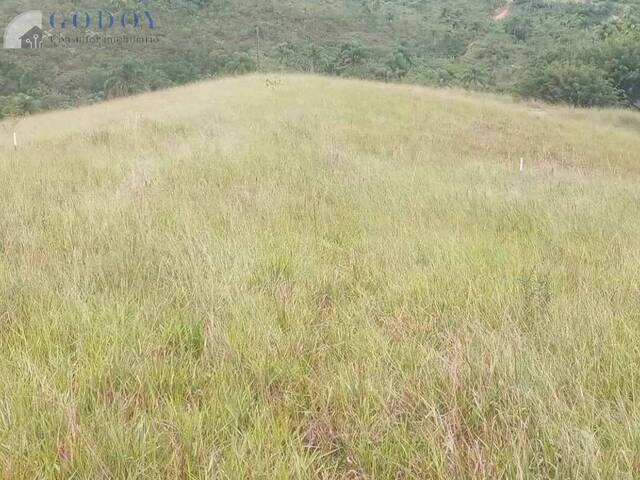 #19454 - Chácara para Venda em Guaratinguetá - SP - 2
