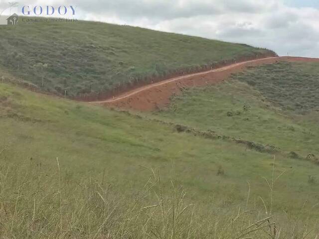 #19454 - Chácara para Venda em Guaratinguetá - SP - 3