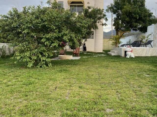 #19560 - Chácara para Venda em Pindamonhangaba - SP - 3