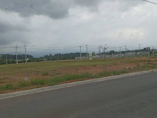 Área para Venda em Pindamonhangaba - 4