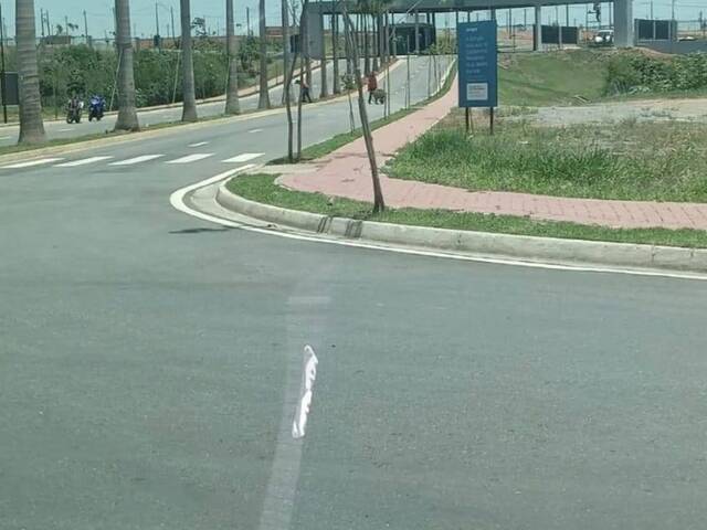 #19565 - Área para Venda em Pindamonhangaba - SP - 2