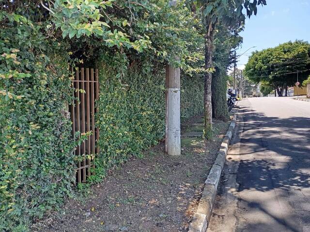 #19586 - Área para Venda em Pindamonhangaba - SP - 3