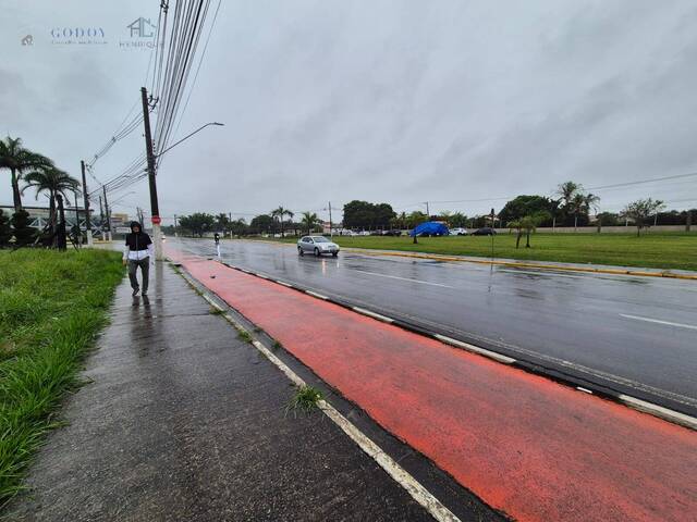 #19610 - Área para Venda em Pindamonhangaba - SP - 3