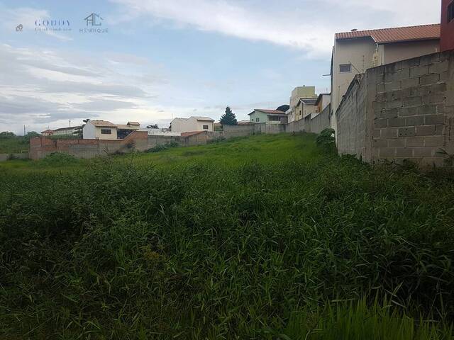 #19614 - Terreno para Venda em Pindamonhangaba - SP - 3