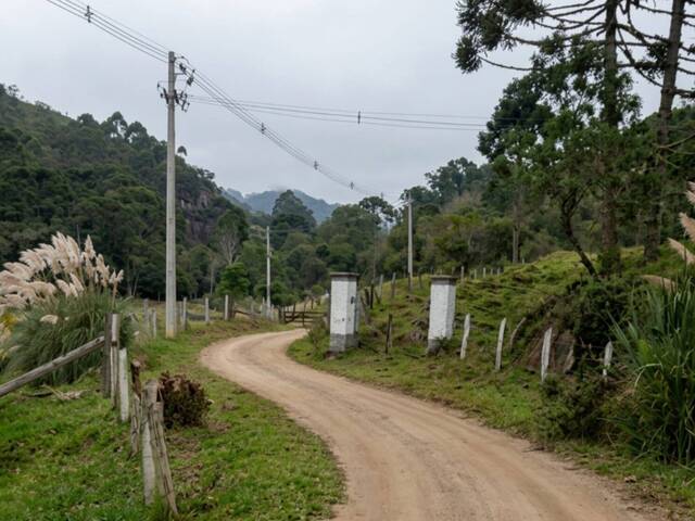 #19636 - Fazenda para Venda em Cunha - SP - 2