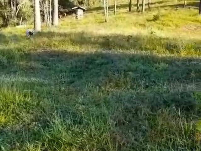 #19637 - Fazenda para Venda em Cunha - SP - 2