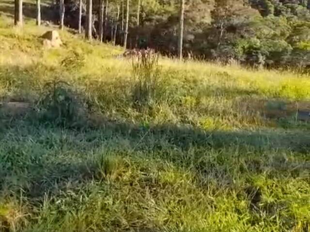 #19637 - Fazenda para Venda em Cunha - SP - 3