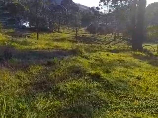 Fazenda para Venda em Cunha - 5