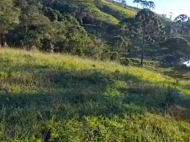 Fazenda para Venda em Cunha - 4