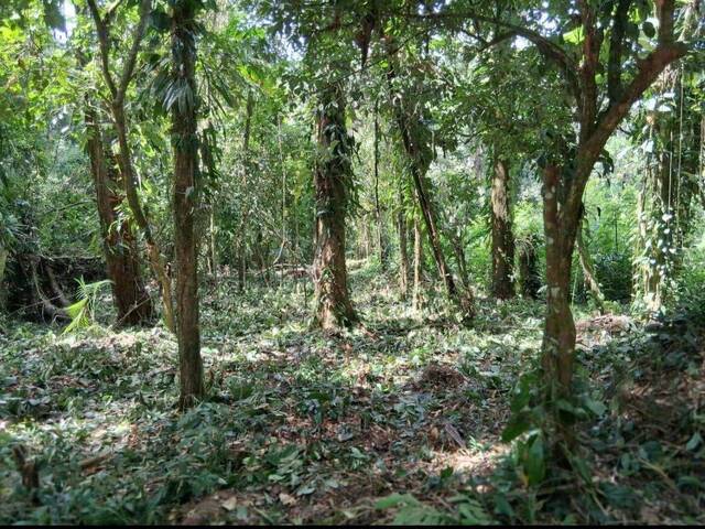 Terreno para Venda em Ubatuba - 4