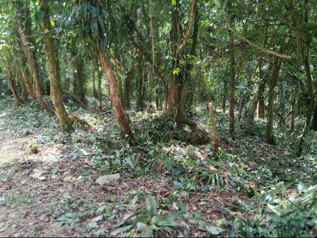 Terreno para Venda em Ubatuba - 5
