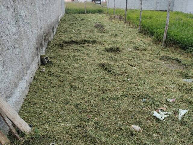 Terreno para Venda em Pindamonhangaba - 3