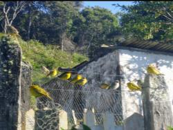 #CH0587_PAL - Sítio para Venda em Monteiro Lobato - SP - 3