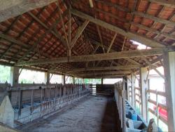 #CH0590_PAL - Sítio para Venda em Cunha - SP - 2