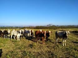 Venda em Zona Rural - Cachoeira Paulista