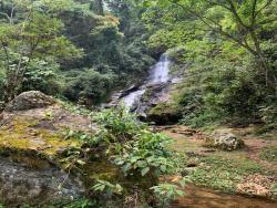 Chácara para Venda em Lagoinha - 4