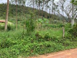 Chácara para Venda em Lagoinha - 5