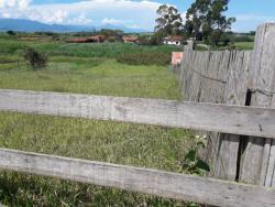 #CH0672_PAL - Chácara para Venda em Potim - SP - 3