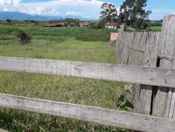 Chácara para Venda em Potim - 4
