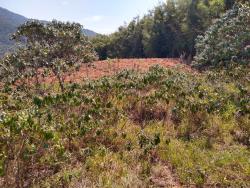 Chácara para Venda em Pindamonhangaba - 4