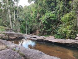 #CH0699_PAL - Sítio para Venda em Pindamonhangaba - SP - 3