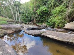 Sítio para Venda em Pindamonhangaba - 4