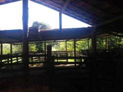 #CH0732_PAL - Sítio para Venda em Pindamonhangaba - SP - 2