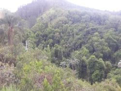 Sítio para Venda em Pindamonhangaba - 4