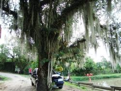 #CH0746_PAL - Sítio para Venda em Pindamonhangaba - SP - 1