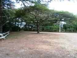 #CH0746_PAL - Sítio para Venda em Pindamonhangaba - SP - 3