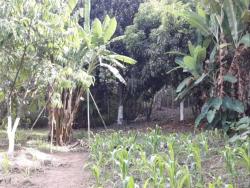 #CH0766_PAL - Sítio para Venda em Redenção da Serra - SP - 3