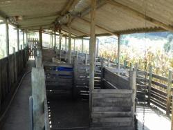Sítio para Venda em Guaratinguetá - 5
