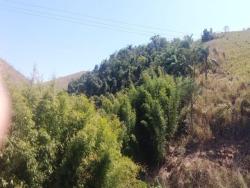 #CH0769_PAL - Chácara para Venda em Lavrinhas - SP - 2