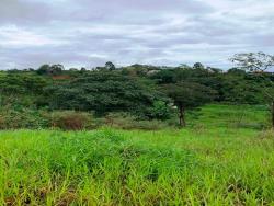 Chácara para Venda em Pindamonhangaba - 4