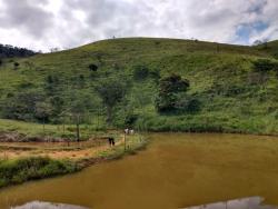 Sítio para Venda em Piquete - 5