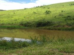 Sítio para Venda em Cunha - 4