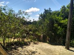 Sítio para Venda em Cunha - 4