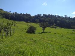 Sítio para Venda em Cunha - 5
