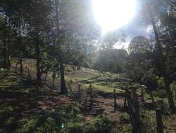 Sítio para Venda em Cunha - 4