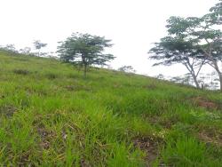 #CH0901_PAL - Chácara para Venda em Pindamonhangaba - SP - 2