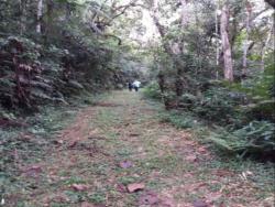 #CH0913_PAL - Sítio para Venda em Paraibuna - SP - 3