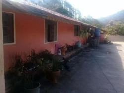 Sítio para Venda em Natividade da Serra - 5