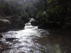 Sítio para Venda em Pindamonhangaba - 4