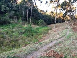 #CH0945_PAL - Sítio para Venda em Cunha - SP - 2