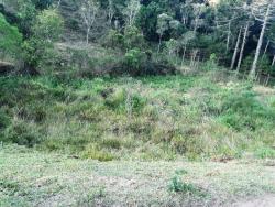 #CH0945_PAL - Sítio para Venda em Cunha - SP - 3